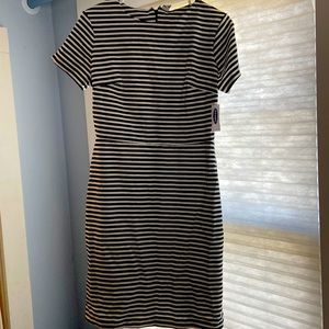 Striped work dress NWT